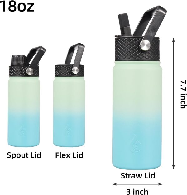 BJPKPK 40oz Stainless Steel Insulated Water Bottle with 3 Lids, Sakura - BPA Free Leakproof Thermos Bottle for Sports & Gym - Image 135