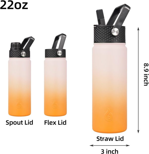 BJPKPK 40oz Stainless Steel Insulated Water Bottle with 3 Lids, Sakura - BPA Free Leakproof Thermos Bottle for Sports & Gym - Image 253
