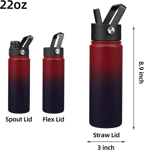 BJPKPK 40oz Stainless Steel Insulated Water Bottle with 3 Lids, Sakura - BPA Free Leakproof Thermos Bottle for Sports & Gym - Image 286